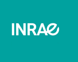 image logoinrae.png (68.9kB)
